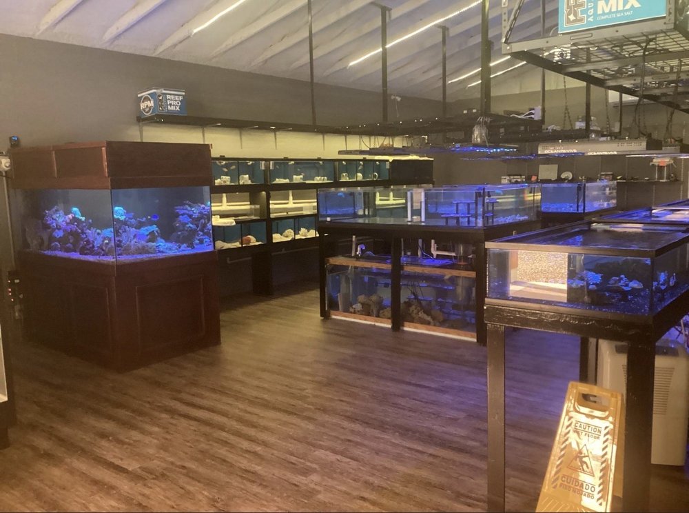 COLORFUL CORALS 648 Old Douglas Dam Rd, Sevierville, Tennessee Pet