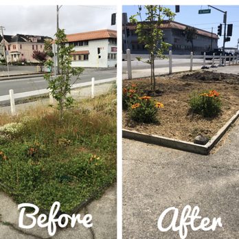 Local Mow Man - Be sure to check out the Fat Cat Bakery's grand opening here in a few weeks! - Lawn Services Near Me Local Mow Man - Be sure to check out the Fat Cat Bakery's grand opening here in a few weeks! - Lawn Services Near Me