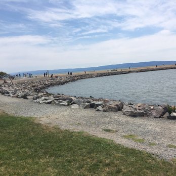 Marina Park - Nice path for biking, walking, or running. - Parks Near Me - San Leandro, California