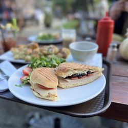 Turkey Cranberry Panini