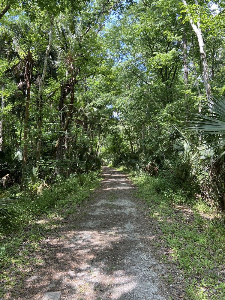 SPRING HAMMOCK PRESERVE Updated May 2024 47 Photos 2986 Osprey