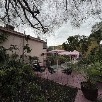 La Social - Neglected garden - Breakfast & Brunch Near Me - Miami, Florida La Social - Neglected garden - Breakfast & Brunch Near Me - Miami, Florida