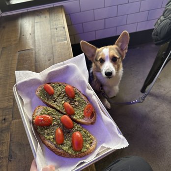 Spectra Coffee - Pesto Toast - Coffee & Tea Near Me - San Jose, California Spectra Coffee - Pesto Toast - Coffee & Tea Near Me - San Jose, California