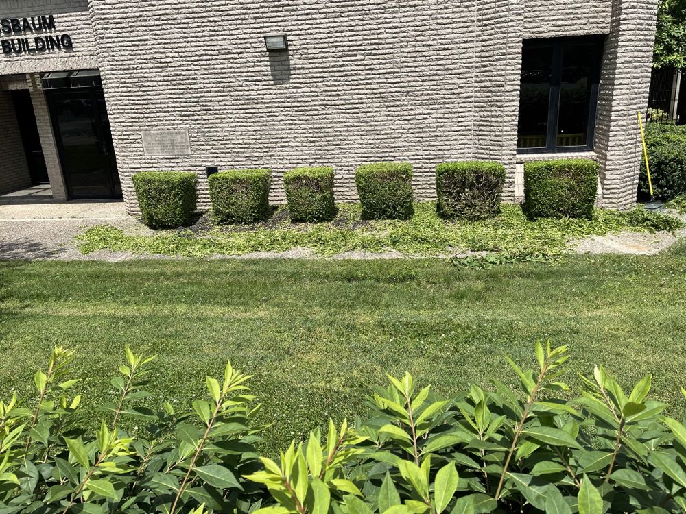 BLADES OF GLORY LAWNCARE AND LANDSCAPING Updated June 2024 Louisville, Kentucky Lawn