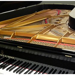 Piano Gallery - Steinway Concert Grand Model D