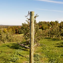 Dressel Farms