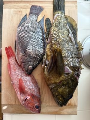 Green Produce and Seafood Market by null