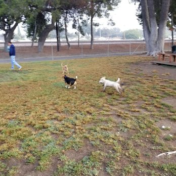 Fullerton Pooch Park - Play time! Early Sunday morning - Dog Parks Near Me - Fullerton, California Fullerton Pooch Park - Play time! Early Sunday morning - Dog Parks Near Me - Fullerton, California