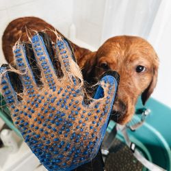 Happy Hounds Pet Grooming