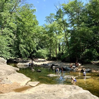 Dora Kelley Nature Park - Swimming in the creek - Parks Near Me - Alexandria, Virginia Dora Kelley Nature Park - Swimming in the creek - Parks Near Me - Alexandria, Virginia