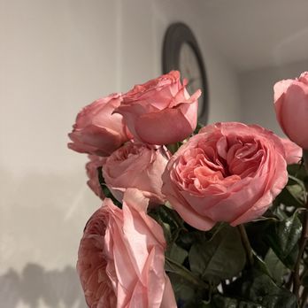 Ecoroses - Florists Near Me - North Hollywood, California Ecoroses - Florists Near Me - North Hollywood, California