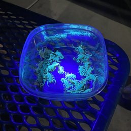 Scorpions found on residence