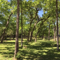 Lent's Family Dog Park - A portion of the small dog side of the dog park!