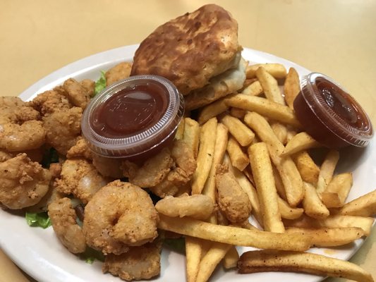 Daisy Brown Cafe : Daisy brown — who claims to be located in stevens point, wisconsin — launched twitter and youtube accounts in late.