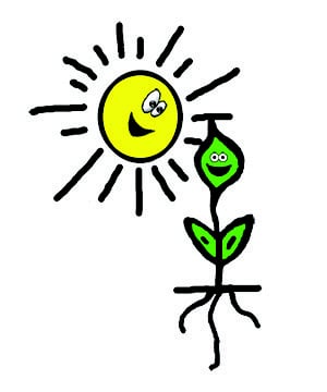 Little Sprouts Academy - childcare center in Toledo, OH