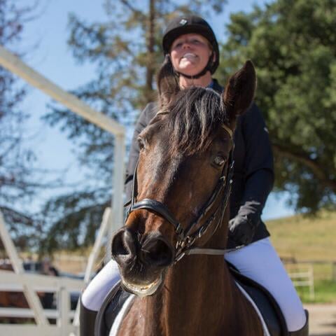 Down Centerline Dressage Logo
