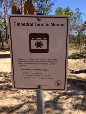Litchfield National Park by null