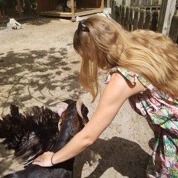 Earth N Us Farm - Petting the rescue goats... - Community Service/Non-Profit Near Me - Miami, Florida Earth N Us Farm - Petting the rescue goats... - Community Service/Non-Profit Near Me - Miami, Florida