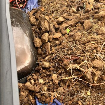 A. Casola Farms - Topsoil from Casola Farms Rt 34 NJ - Farmers Market Near Me - Holmdel, New Jersey
