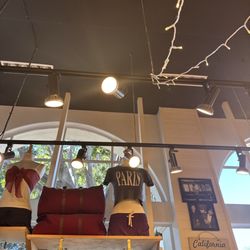 Brandy Melville - Got this Paris crop top!