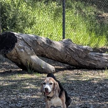 Hap Magee Ranch Park - Parks Near Me - Danville, California