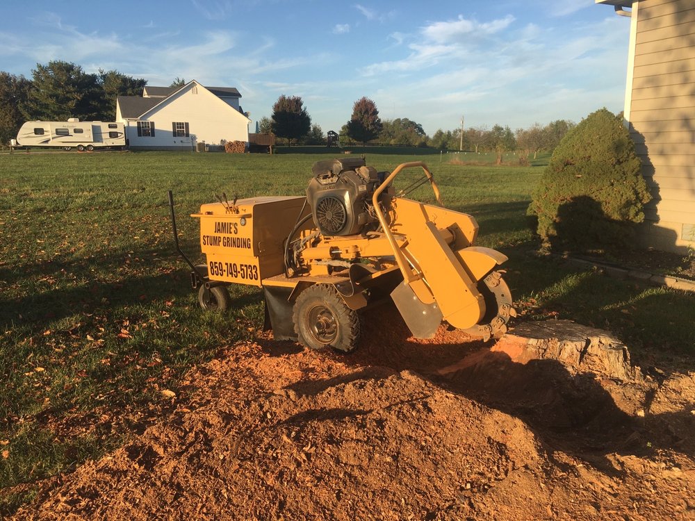 Jamie's Stump Grinding - tree service in Harrodsburg, KY
