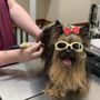 Photo of Southwest Animal Hospital
