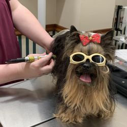 Southwest Animal Hospital