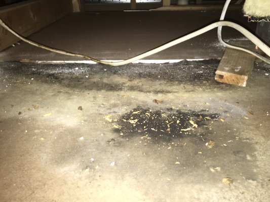 Baker Restoration Services