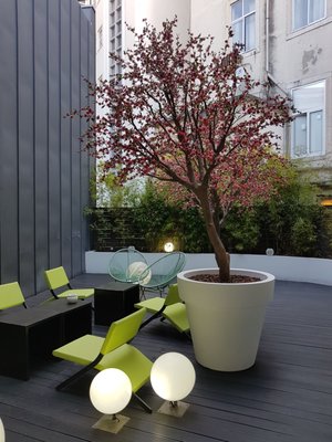 Hotel Gat Rossio by null