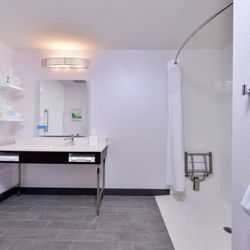 Hampton Inn and Suites Atlanta/Marietta - Guest room bath
