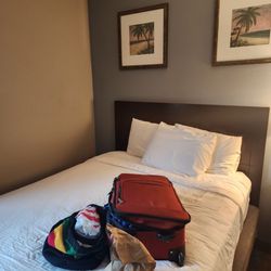 Put In Bay Resort & Conference Center