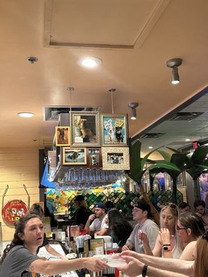 Chuy's by null