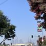Photo of America Motel