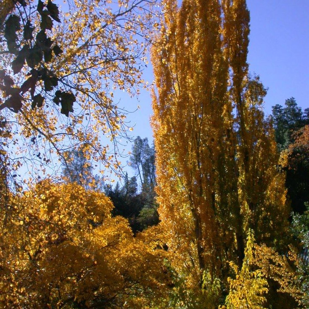 Harbin Hot Springs - by the pool and deck - Meditation Centers Near Me - Middletown, California Harbin Hot Springs - by the pool and deck - Meditation Centers Near Me - Middletown, California