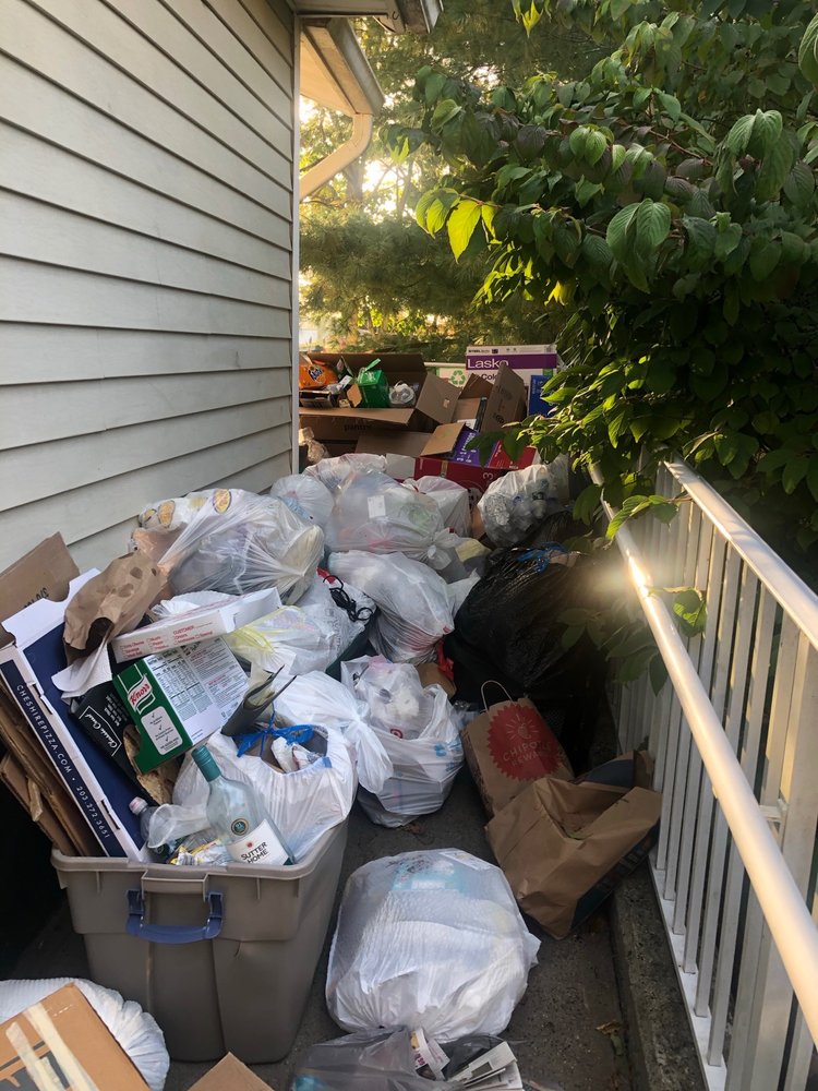 ARDENWOOD APARTMENTS Updated June 2024 14 Photos 100 Avalon Haven