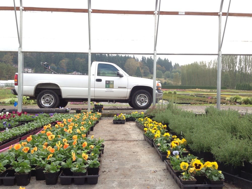 TISSUES & LINERS Updated September 2024 13245 Woodinville Redmond