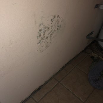 American Response Team - Mold - Damage Restoration Near Me - Vista, California American Response Team - Mold - Damage Restoration Near Me - Vista, California