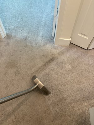 Larry's Carpet Care & Restoration