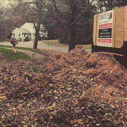 Dave's Lawn And Garden - Fall cleanup