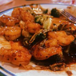 Ocean Buffet - Shrimp and Broccoli stir fry