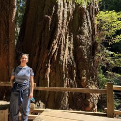 Muir Woods National Monument - My daughter Lauren is in front of one of the giant redwood trees