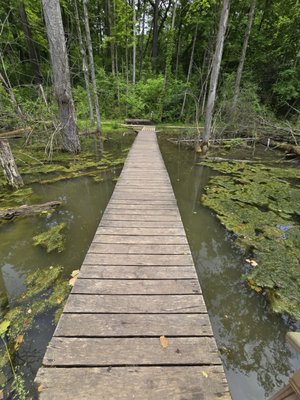 Glen Helen Nature Preserve by null