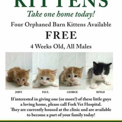 Fork Veterinary Hospital