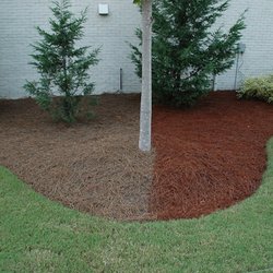 Tarheel Turf Lawn Care & Maintenance - Pine Needles