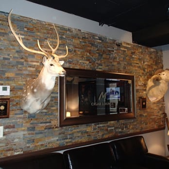 Mancave Cigar - Game trophy head mounts. - Tobacco Shops Near Me - Fort Lauderdale, Florida Mancave Cigar - Game trophy head mounts. - Tobacco Shops Near Me - Fort Lauderdale, Florida