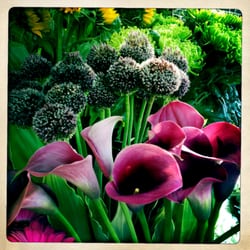 Bulbous