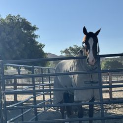 Galway Downs Equestrian Center