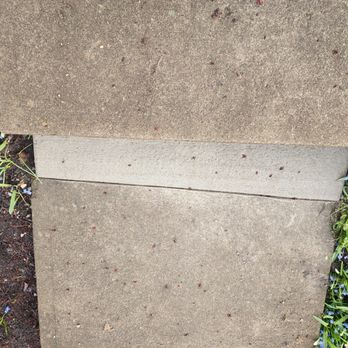 Cost Effective Concrete - No more cracked sidewalk - Masonry/Concrete Near Me - Cincinnati, Ohio