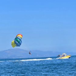 Land and Sea Shark Tour - PARASAILING